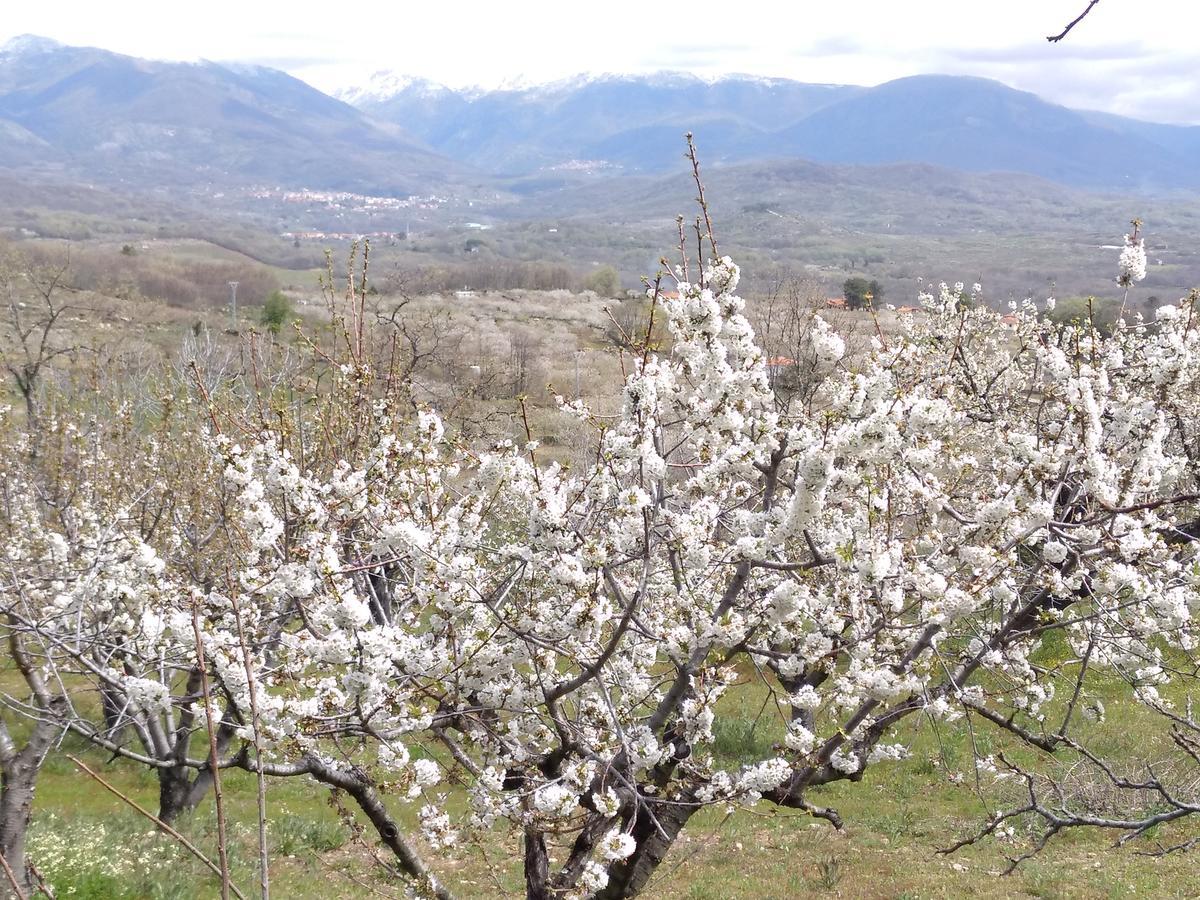 Hotel Rural Carlos I Garganta la Olla Zewnętrze zdjęcie